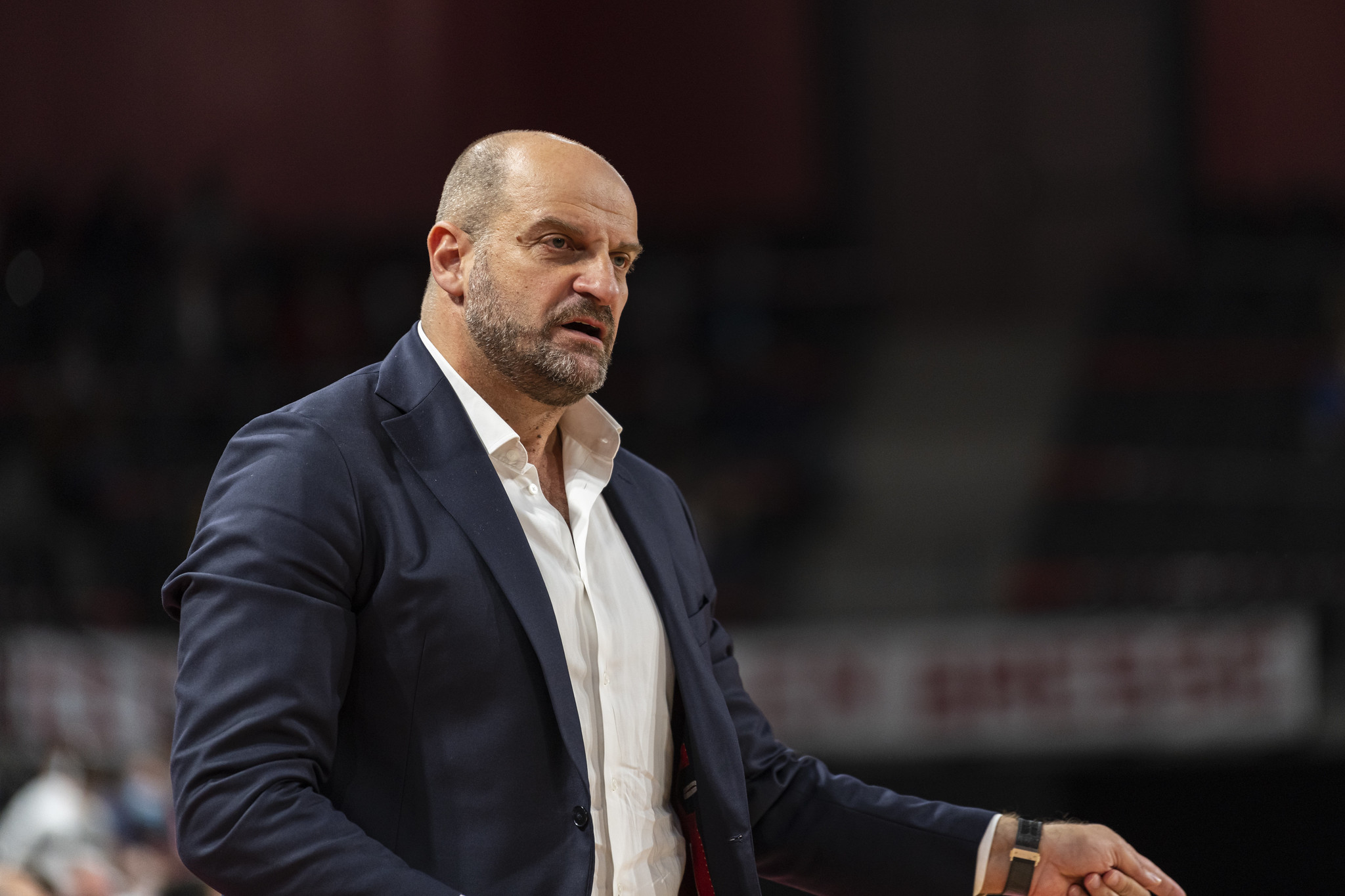 Zvezdan Mitrovic
