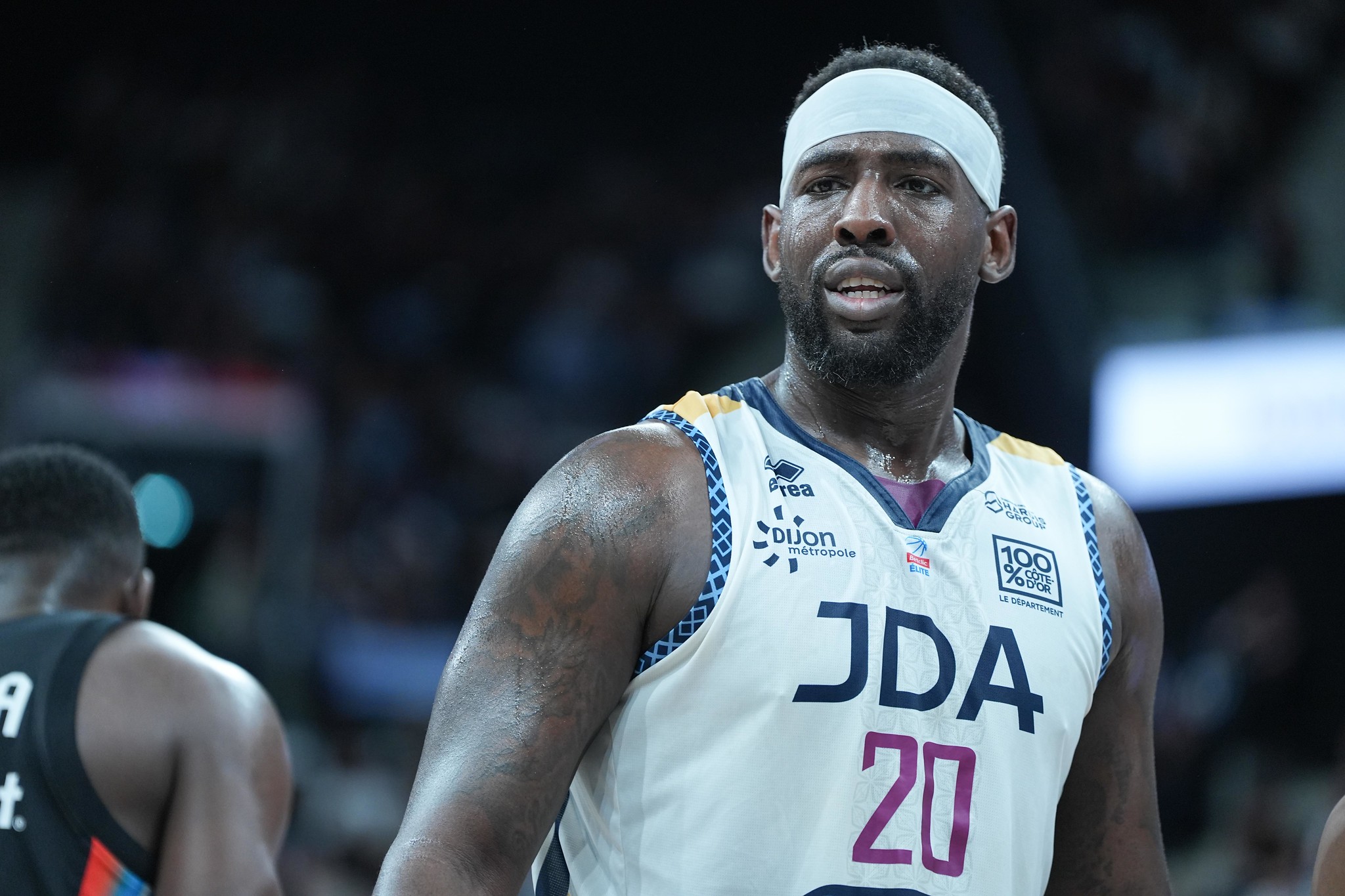ware dijon limoges