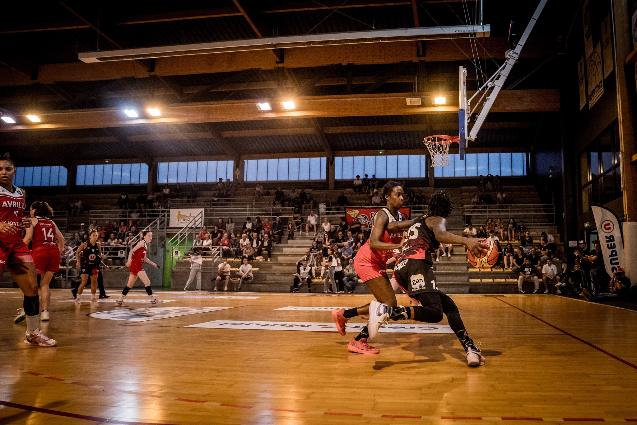 La salle Pierre-Seillant d’Orthez va retrouver un match officiel de l'Elan béarnais ce mardi 7 octobre