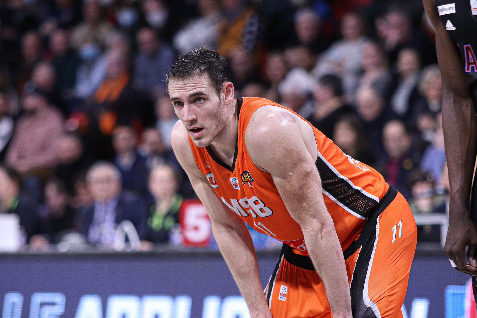 Le Mans Terry Tarpey touché à la main BeBasket