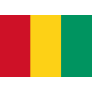 logo guinee.jpg
