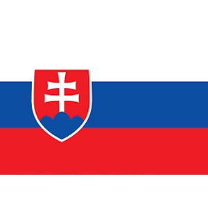 Slovaquie-drapeau.jpg