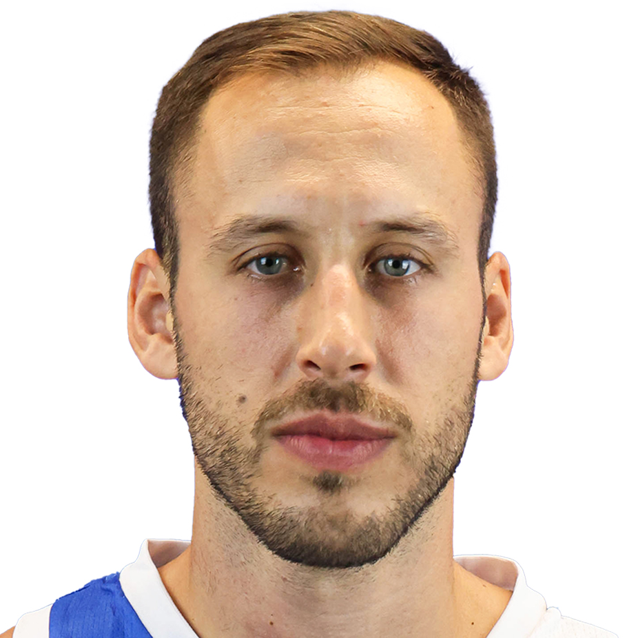 Vladimir Mihailovic