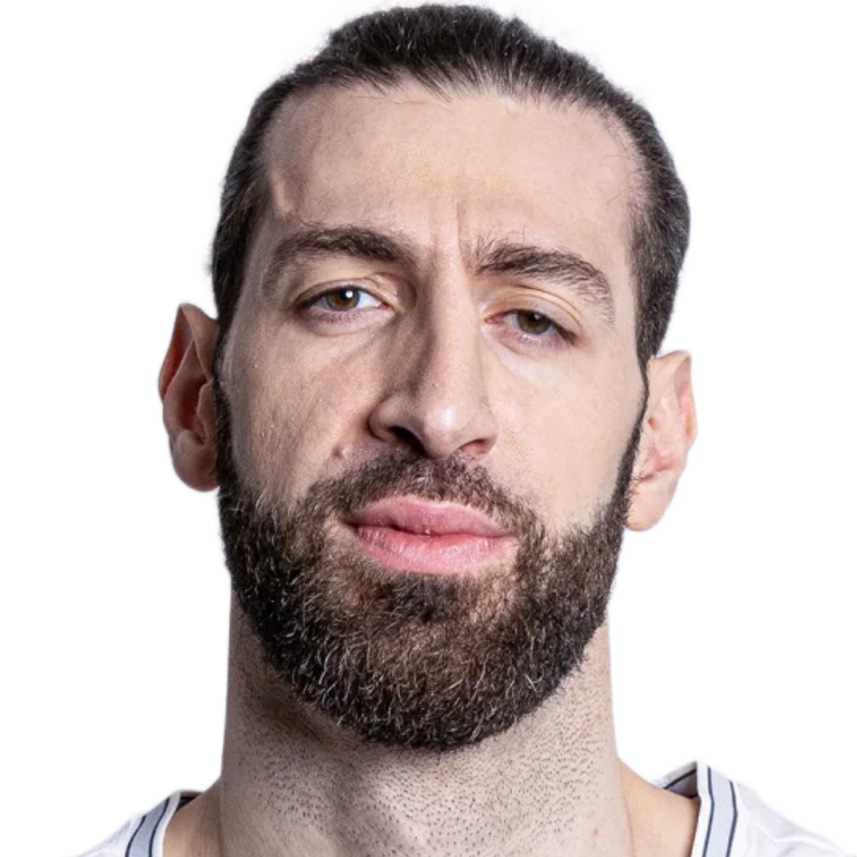 tornike_shengelia_2026-2027_profile.png