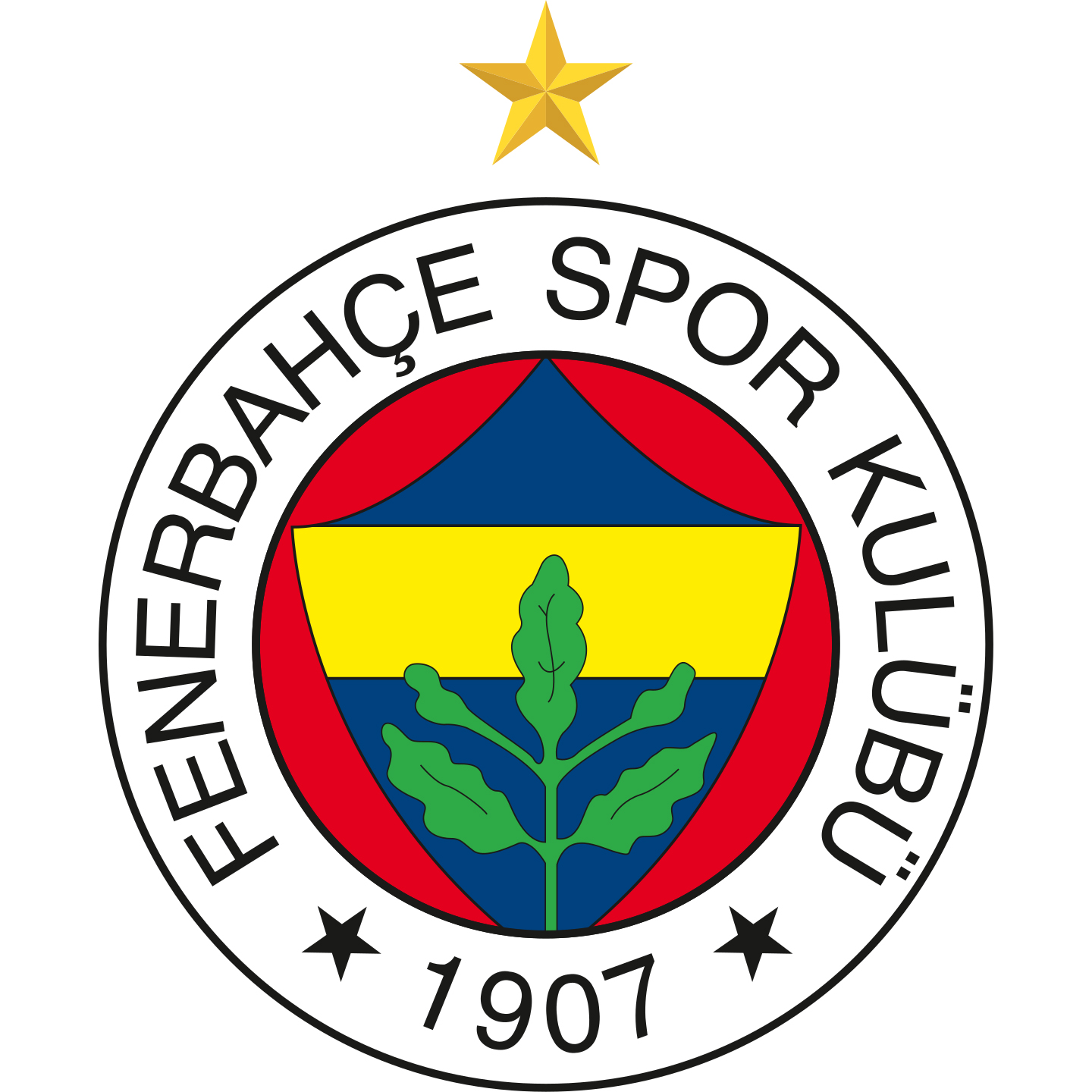 Logo Fenerbahce Opet féminin