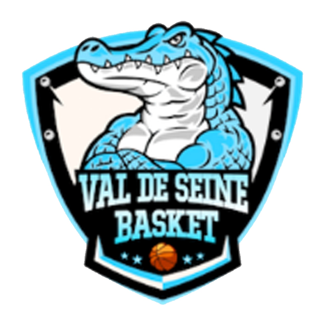 Logo Val de Seine Basket